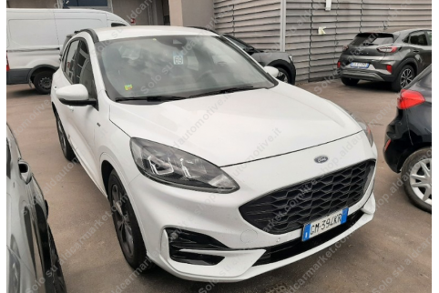 2022 Ford Kuga, Dyzelinas